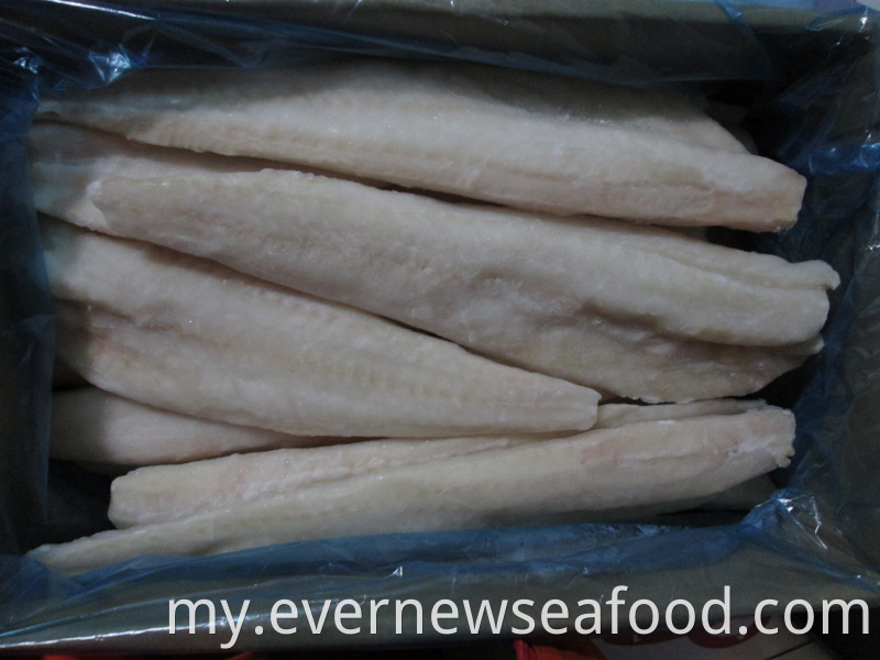 FAO 67 alaska pollock ငါး အေးခဲထားသော alaska pollock အသားလွှာ